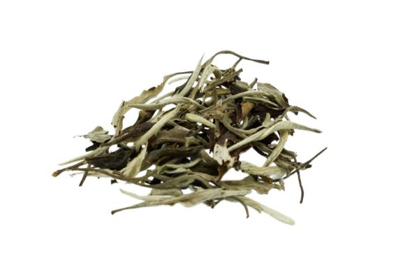 Picture of Moonlight white